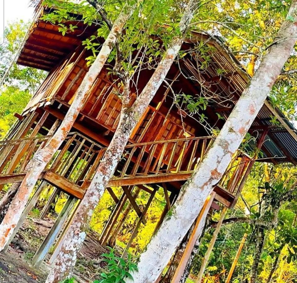 Hotel Karupa Amazonas Летисия Екстериор снимка