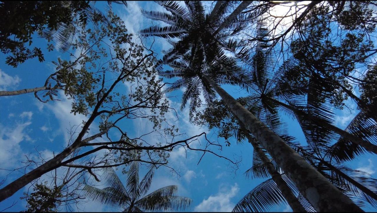 Hotel Karupa Amazonas Летисия Екстериор снимка