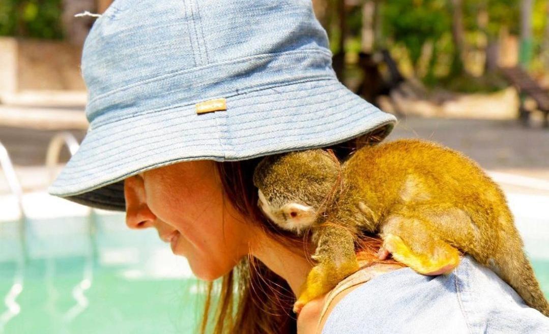 Hotel Karupa Amazonas Летисия Екстериор снимка